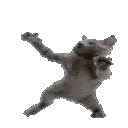 CatDance