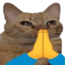Catpray CatPRAY Discord Emoji