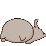 DCatDead