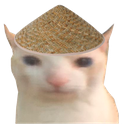 chinesebruhcat