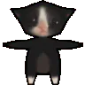 catSpin