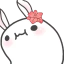 LolaxWormWiggle_DNS
