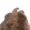 :bunny: bunny