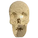 Skull_Real