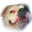 SmugBox