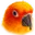 MangoKFace