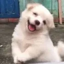 hehe