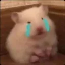 QAQ