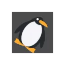 spinpenguin spinpenguin