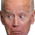 bidenoops