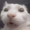 mruh