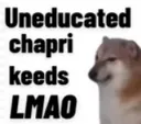 uneducated_chapri_kids_lmao