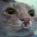 emoji_22