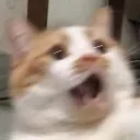 emoji_25