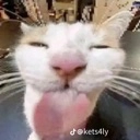 silly
