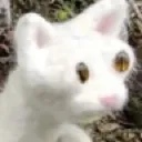 guh