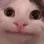 catpolite