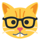 nerdcat