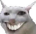 Catgrin catGrin Discord Emoji