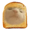 CatSandwitch Discord Emoji