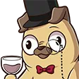1pugFancy