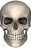 dead_skully