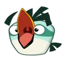 Nico_Pog