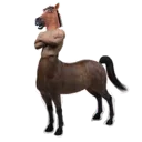Stallion