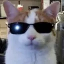 Swagger