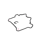 catfloor