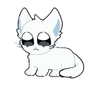 tbh_cat