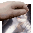 aliciapat_GM Discord emoji