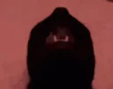 CatInsane
