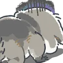 raccoonDespair