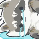 raccoonCryFlood