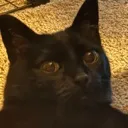 Uhhh