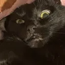 BRUH