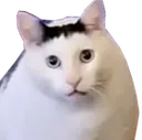 huh huh