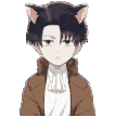 Levi_cat