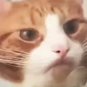 betrayal