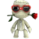 China_SackboyRose