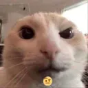 7f9994542da4ed6688aa1d624066e85e