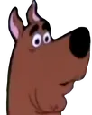 scoobstare