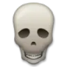 skull
