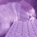 sleepy_kitty Discord Emoji