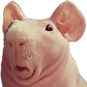 OHNO