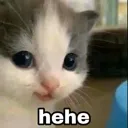 hehemeow Discord Emoji