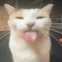 silly silly