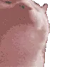 hyperjam