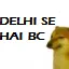 delhibc